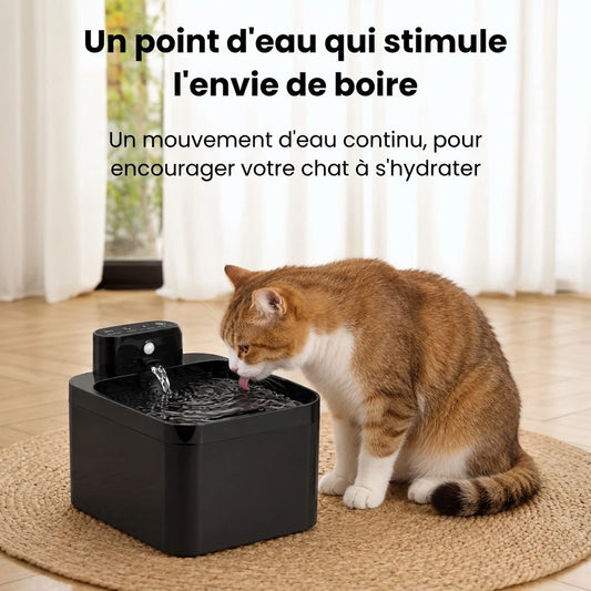 Fontaine à Eau pour Chat Sans Fil | Nomad