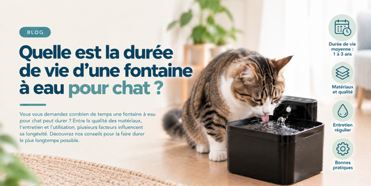 Quelle est la durée de vie d'une fontaine à eau pour chat ?