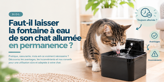Faut-il laisser la fontaine à eau de son chat allumée en permanence ?