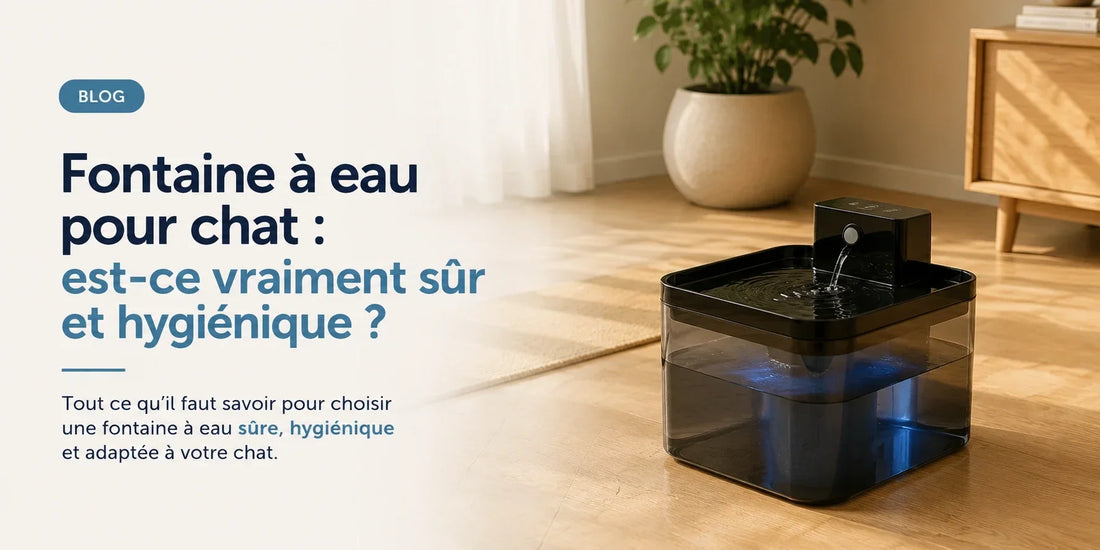 Fontaine à eau pour chat : est-ce vraiment sûr et hygiénique ?