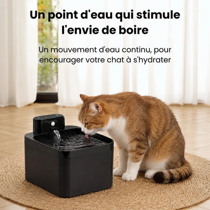 Fontaine à Eau pour Chat Sans Fil | Nomad