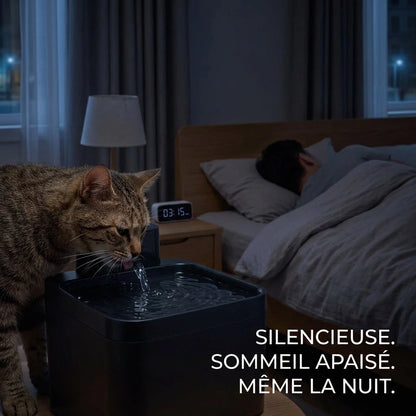 Fontaine à Eau pour Chat Sans Fil | Nomad
